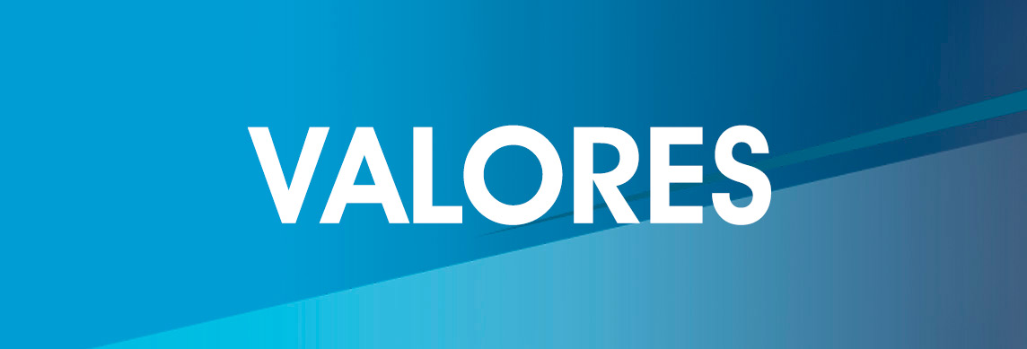 mvv_valores